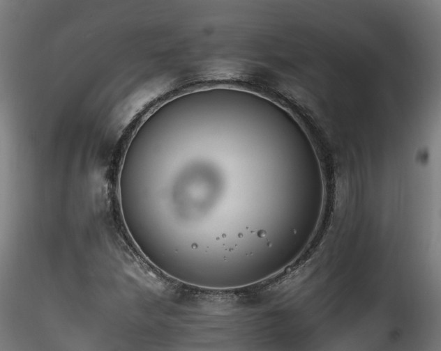 X0000116261210200911300944