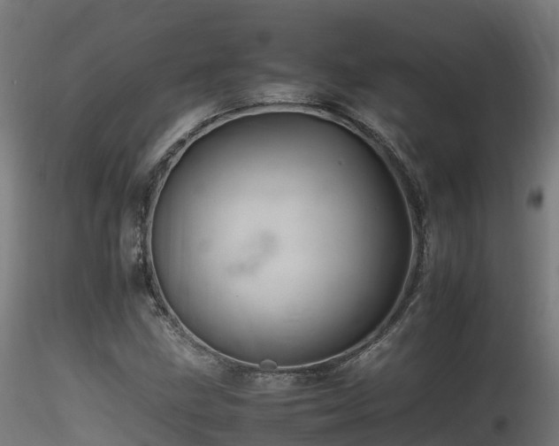 X0000116261211200911300944