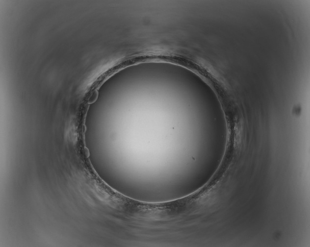 X0000116261213200911300944