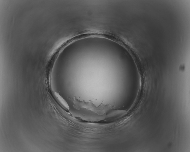 X0000116261215200911300944