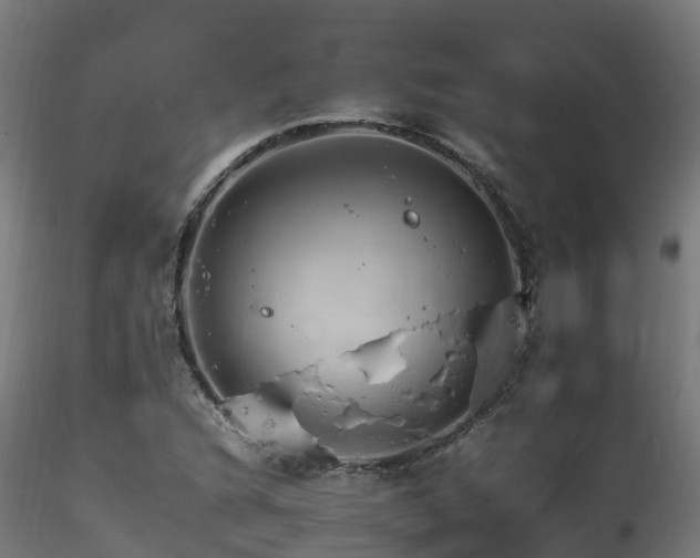 X0000116261216200911300944