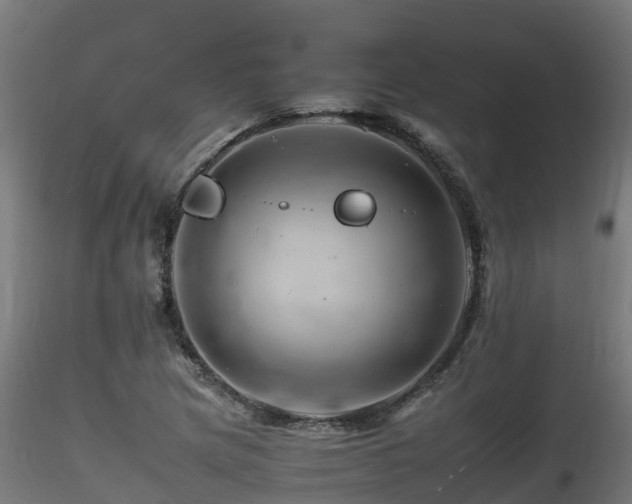 X0000116261217200911300944