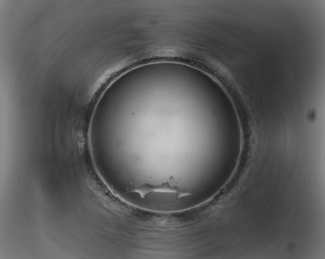 X0000116261218200911300944