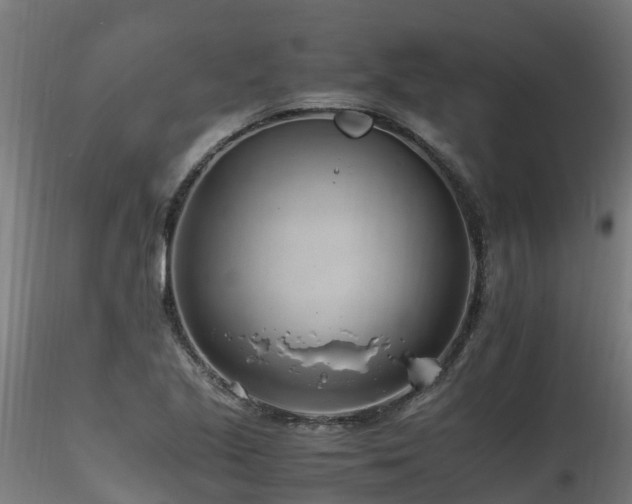 X0000116261221200911300944