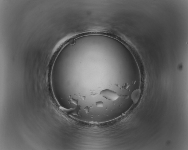 X0000116261222200911300944