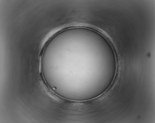 X0000116261223200911300944