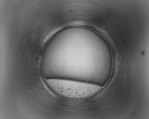 X0000116261225200911300944