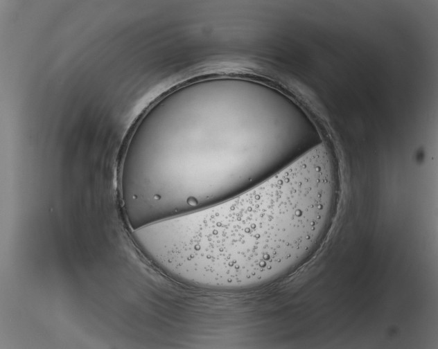 X0000116261226200911300944
