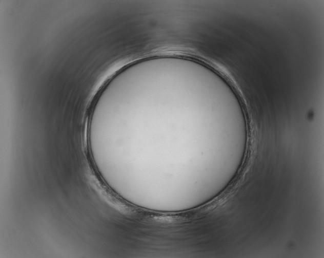 X0000116261227200911300944