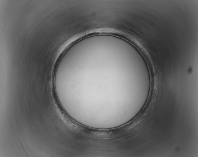 X0000116261229200911300944