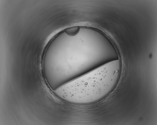 X0000116261230200911300944
