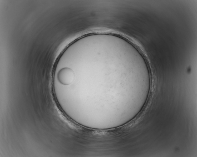 X0000116261231200911300944