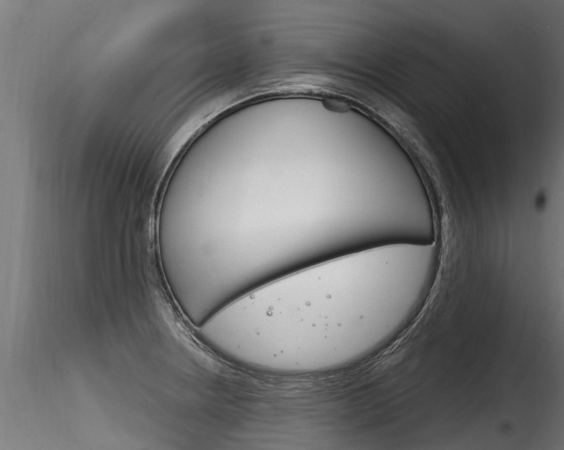 X0000116261234200911300944