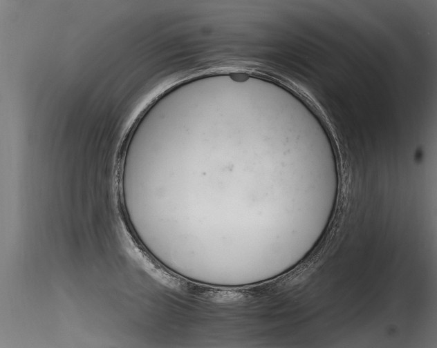 X0000116261235200911300944