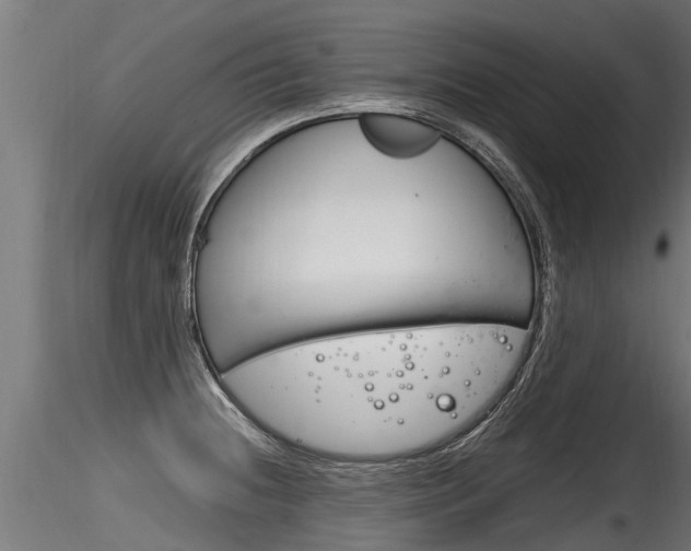 X0000116261236200911300944