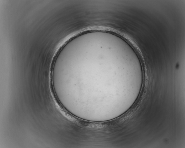X0000116261237200911300944