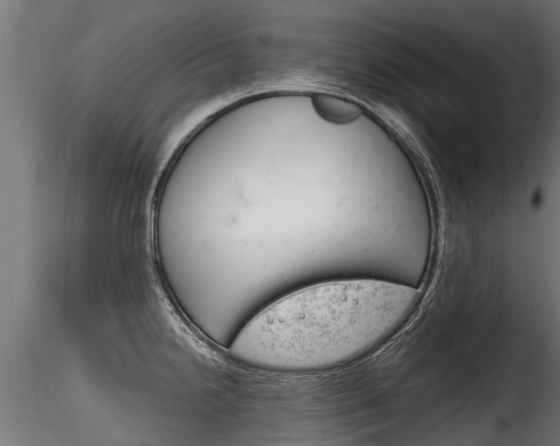 X0000116261238200911300944
