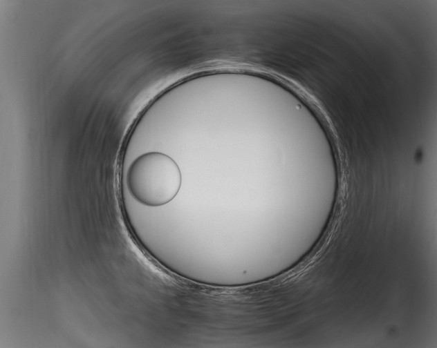 X0000116261239200911300945
