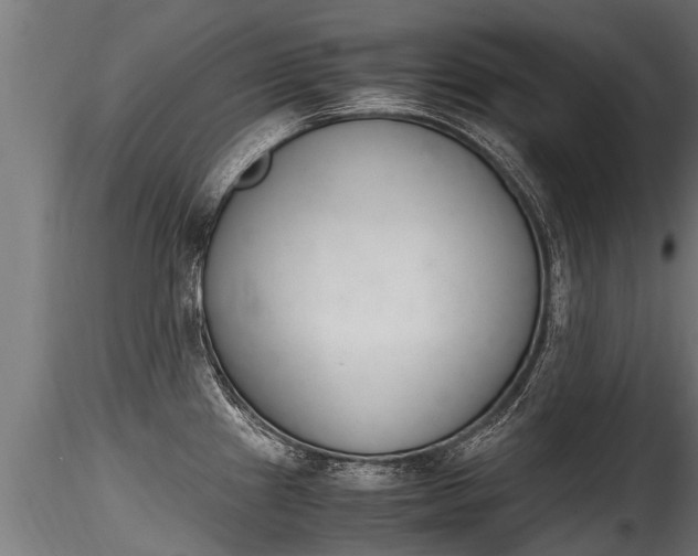 X0000116261241200911300945