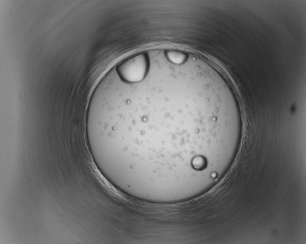 X0000116261244200911300945
