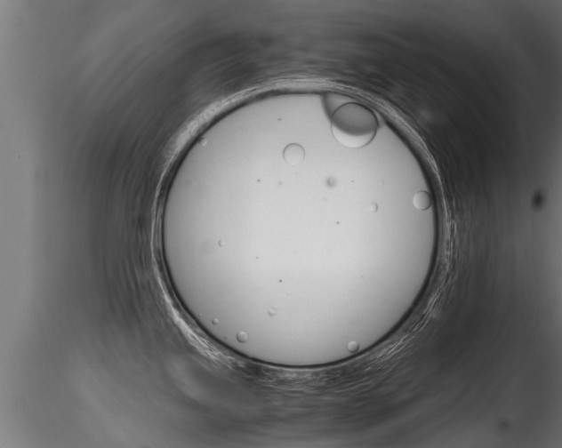 X0000116261245200911300945