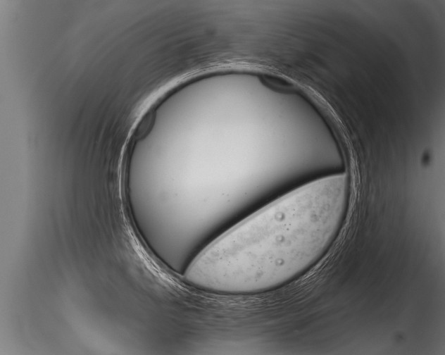 X0000116261246200911300945