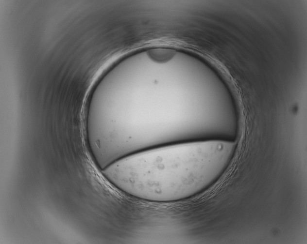 X0000116261248200911300945