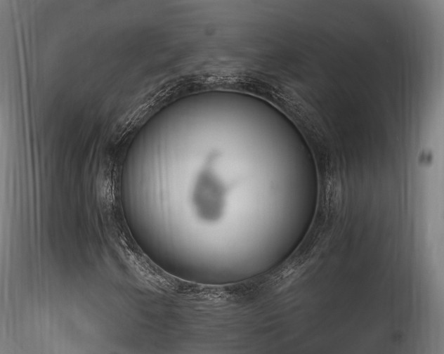 X0000116261250200911300944