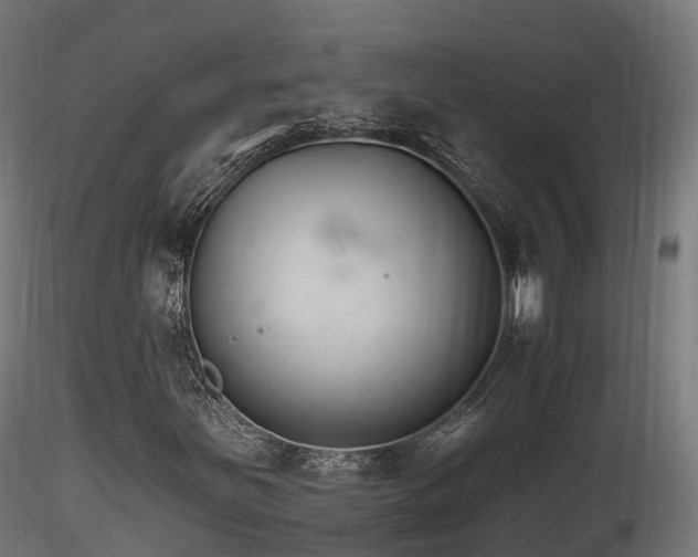 X0000116261251200911300944