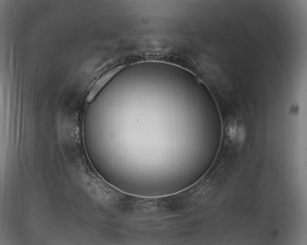 X0000116261252200911300944