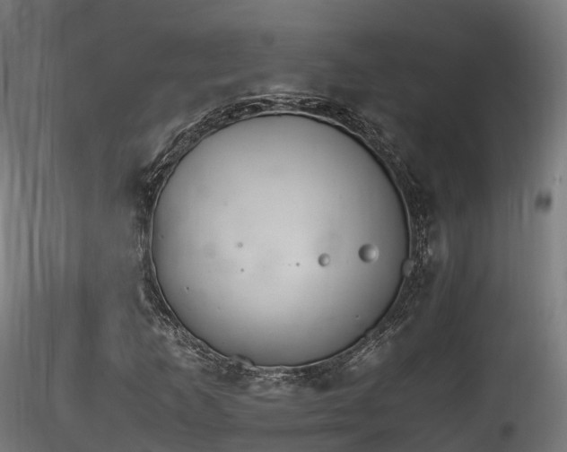 X0000116261253200911300944