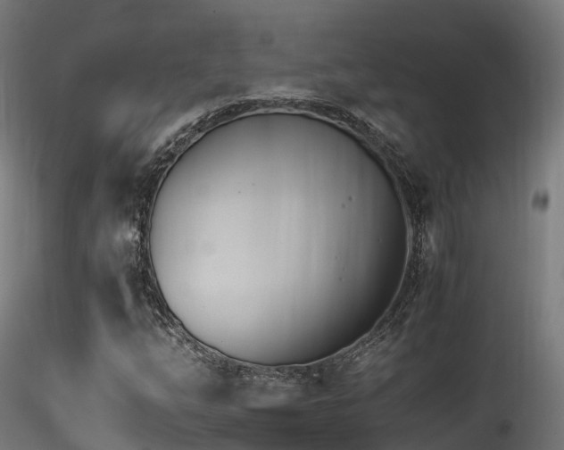 X0000116261254200911300944
