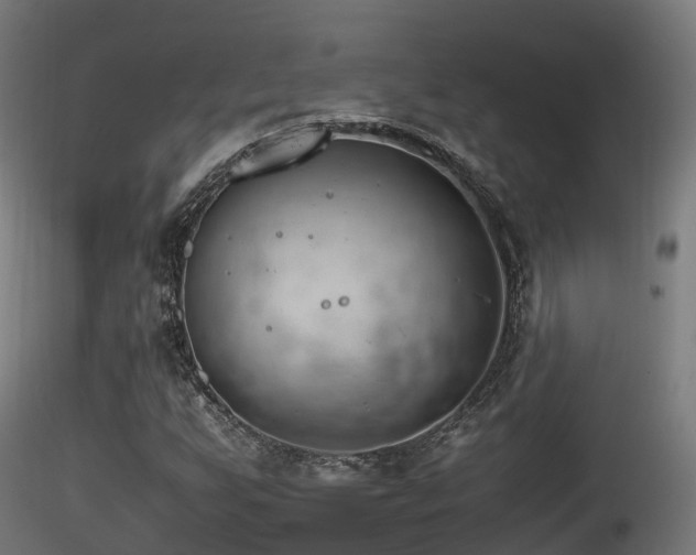 X0000116261255200911300944