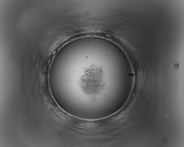 X0000116261257200911300944