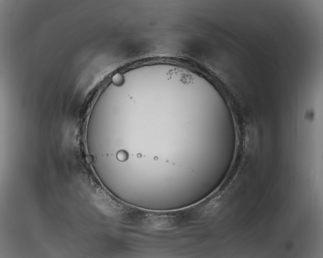 X0000116261258200911300944