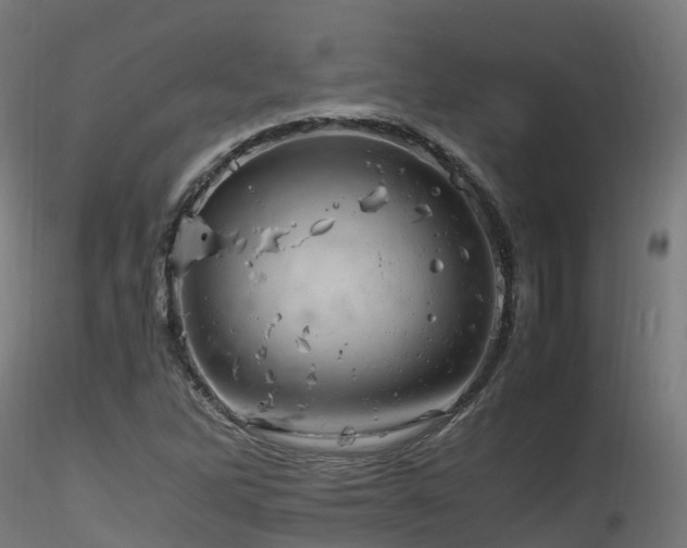 X0000116261262200911300944