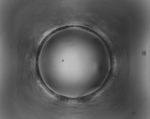 X0000116261264200911300944