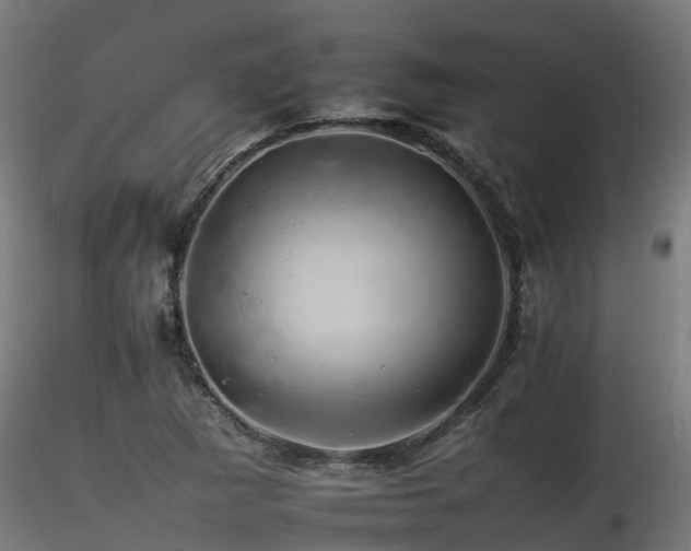 X0000116261265200911300944