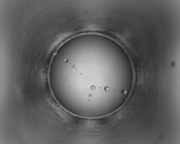 X0000116261266200911300944
