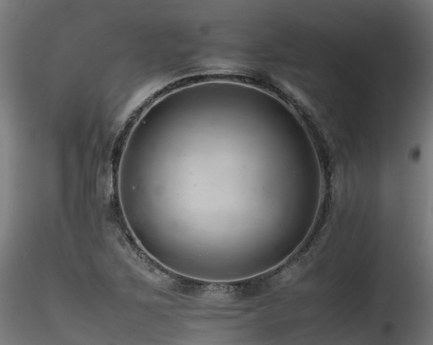 X0000116261267200911300944