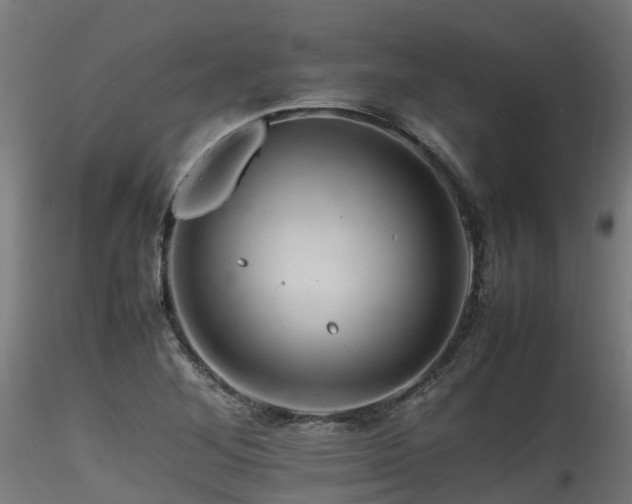 X0000116261268200911300944