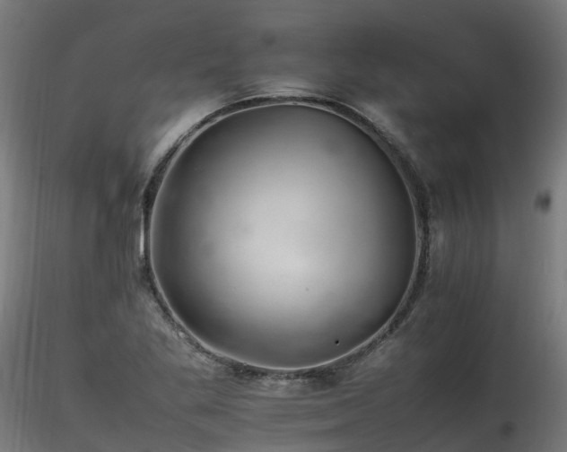 X0000116261269200911300944