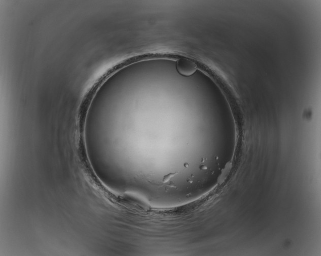 X0000116261270200911300944