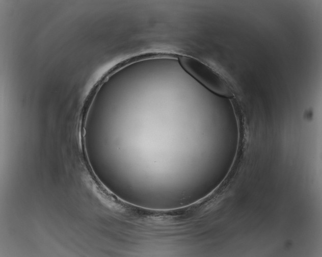 X0000116261272200911300943