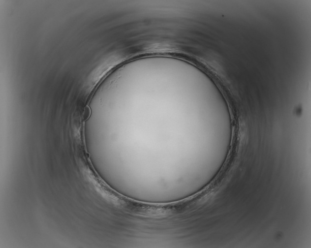 X0000116261273200911300943