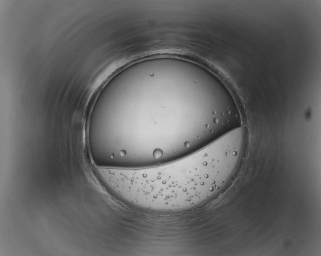 X0000116261274200911300943