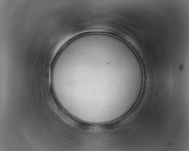 X0000116261275200911300943