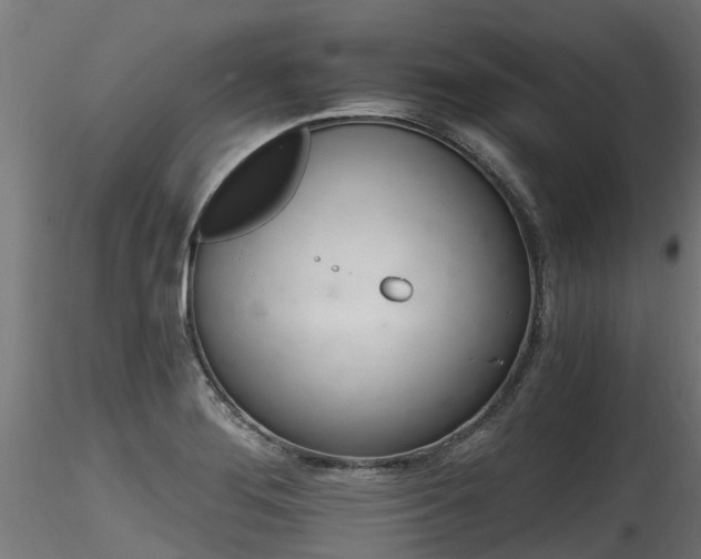 X0000116261276200911300943