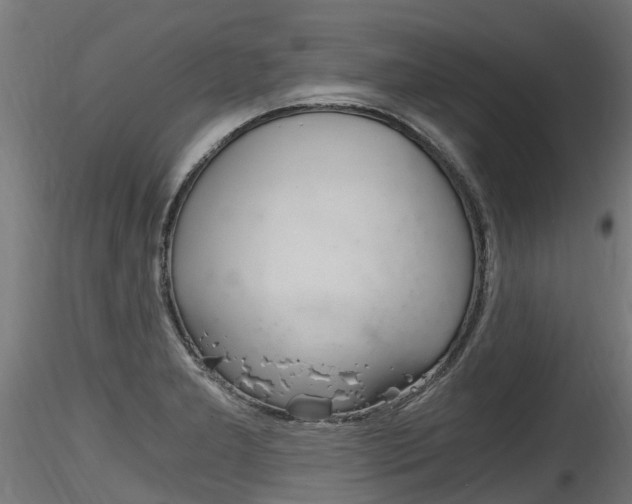 X0000116261277200911300943