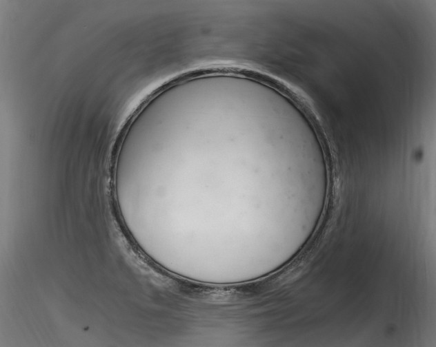 X0000116261279200911300943
